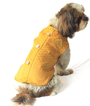Pawgy Pets Sherwani Yellow for Dogs