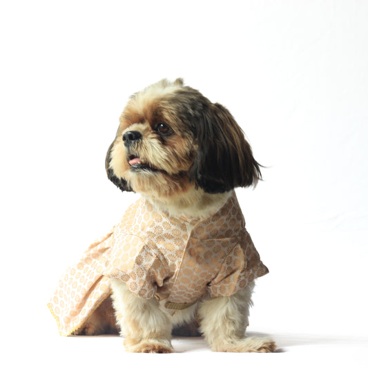 Pawgy Pets Occasion wear Dress White for Dogs