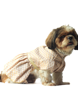 Pawgy Pets Occasion wear Dress White for Dogs