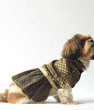 Pawgy Pets Occasion wear Dress Black for Dogs