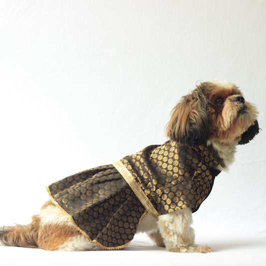 Pawgy Pets Occasion wear Dress Black for Dogs
