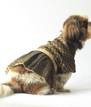 Pawgy Pets Occasion wear Dress Black for Dogs