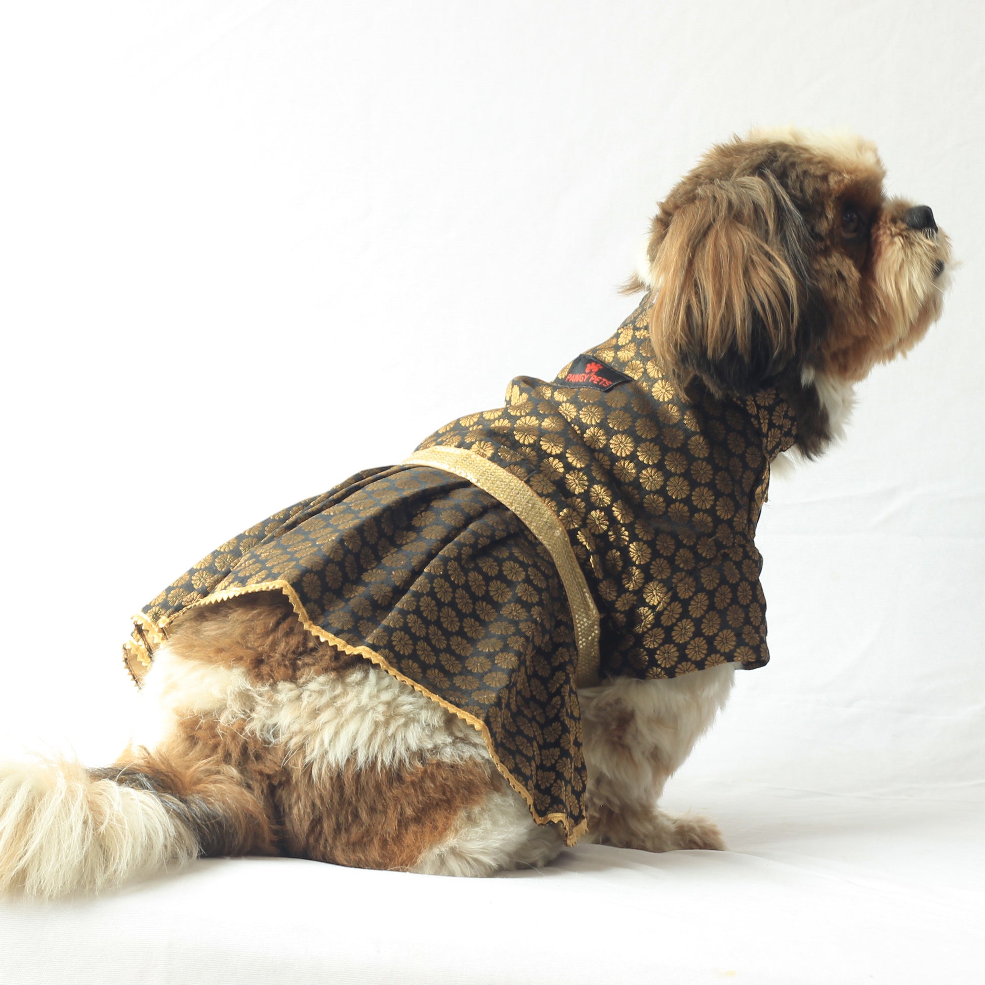 Pawgy Pets Occasion wear Dress Black for Dogs
