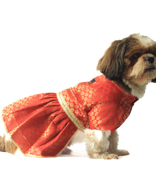 Pawgy Pets Occasion wear Dress Red for Dogs