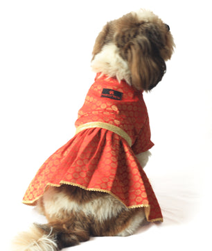 Pawgy Pets Occasion wear Dress Red for Dogs