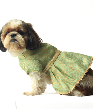 Pawgy Pets Occasion wear Dress Pista Green for Dogs