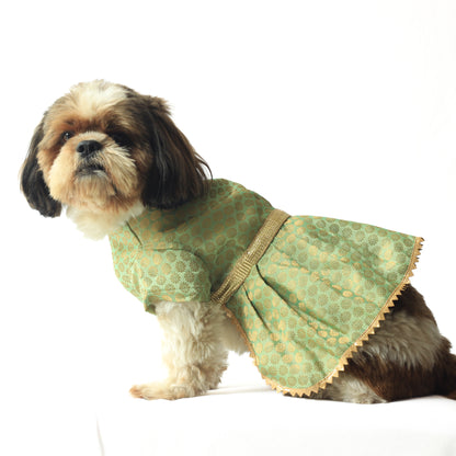 Pista Green Occasion Wear Dress | For Dogs | Pawgy Pets