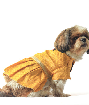 Pawgy Pets Occasion wear Dress Yellow for Dogs