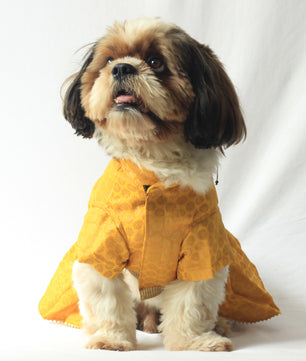 Pawgy Pets Occasion wear Dress Yellow for Dogs