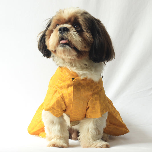 Pawgy Pets Occasion wear Dress Yellow for Dogs