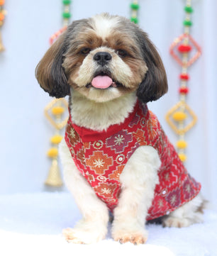 Pawgy Pets Festive Shirt Patola for Dogs