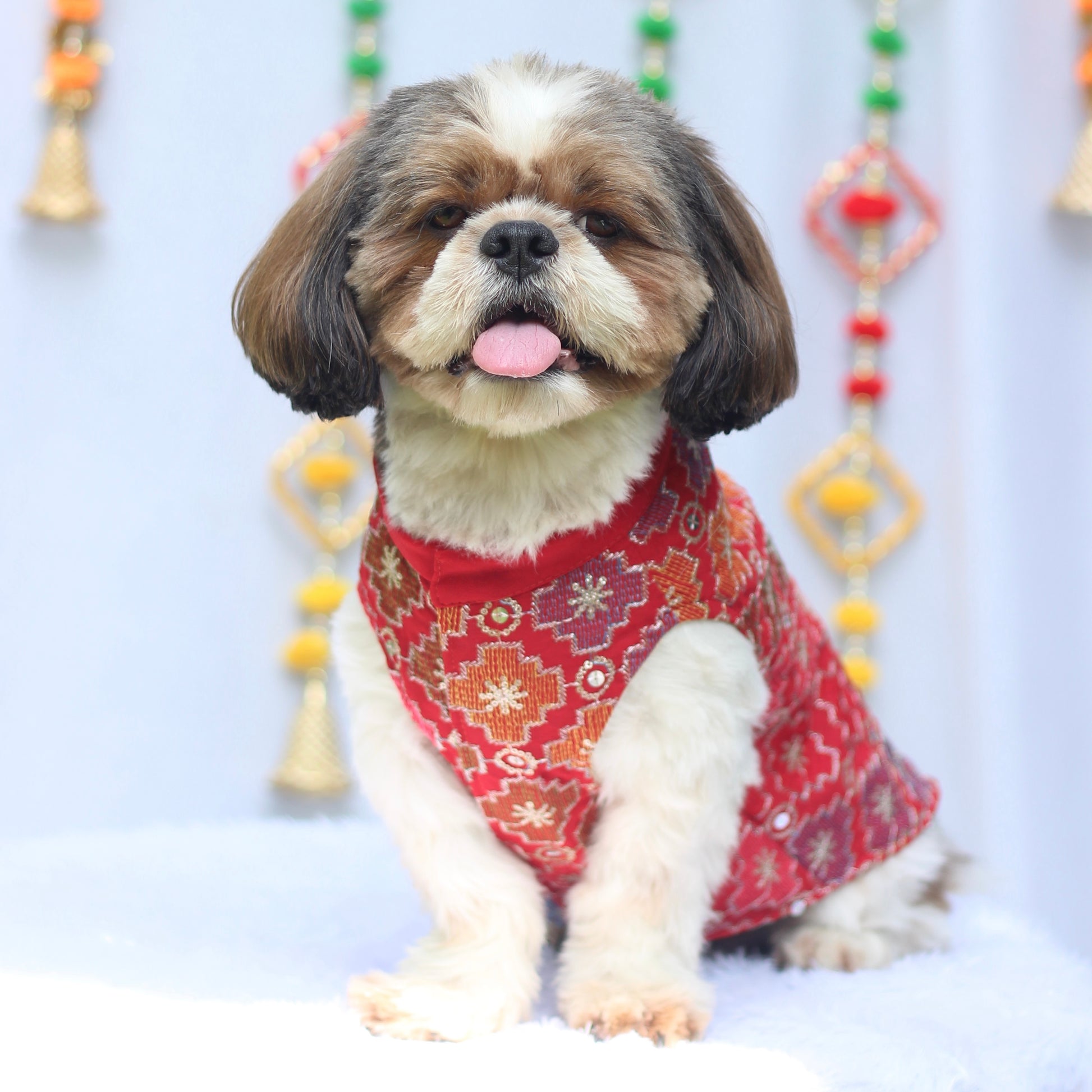 Pawgy Pets Festive Shirt Patola for Dogs