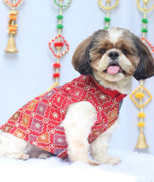 Pawgy Pets Festive Shirt Patola for Dogs