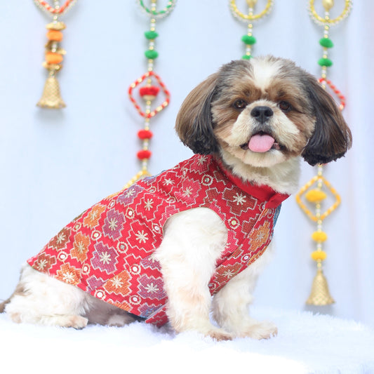 Pawgy Pets Festive Shirt Patola for Dogs