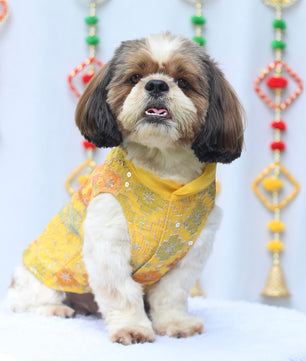 Pawgy Pets Festive Shirt Patola for Dogs