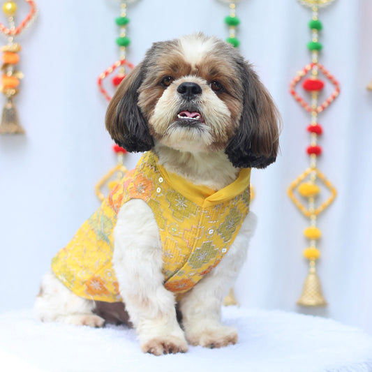 Pawgy Pets Festive Shirt Patola for Dogs