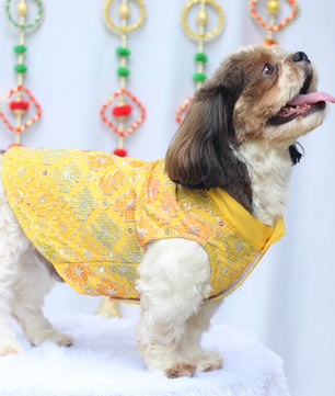 Pawgy Pets Festive Shirt Patola for Dogs
