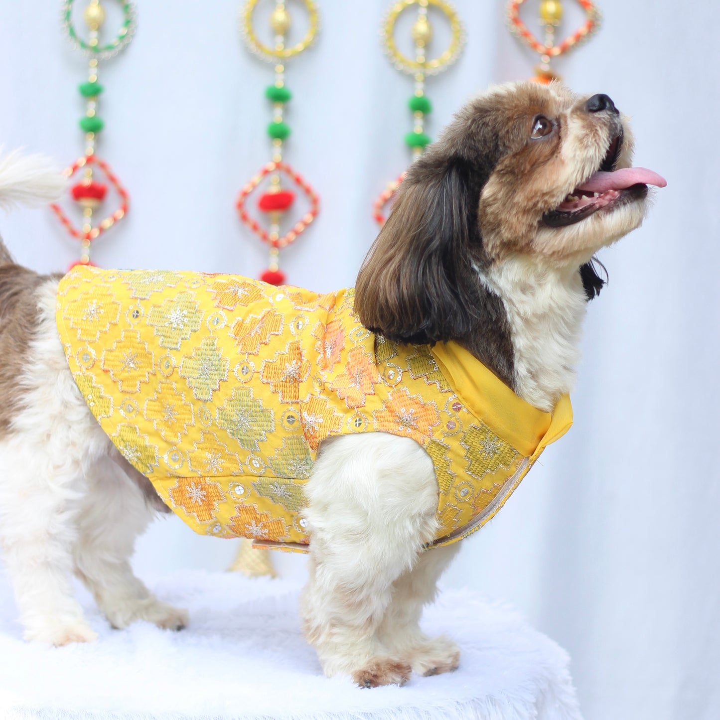 Yellow Patola Festive Kurta | For Dogs | Pawgy Pets