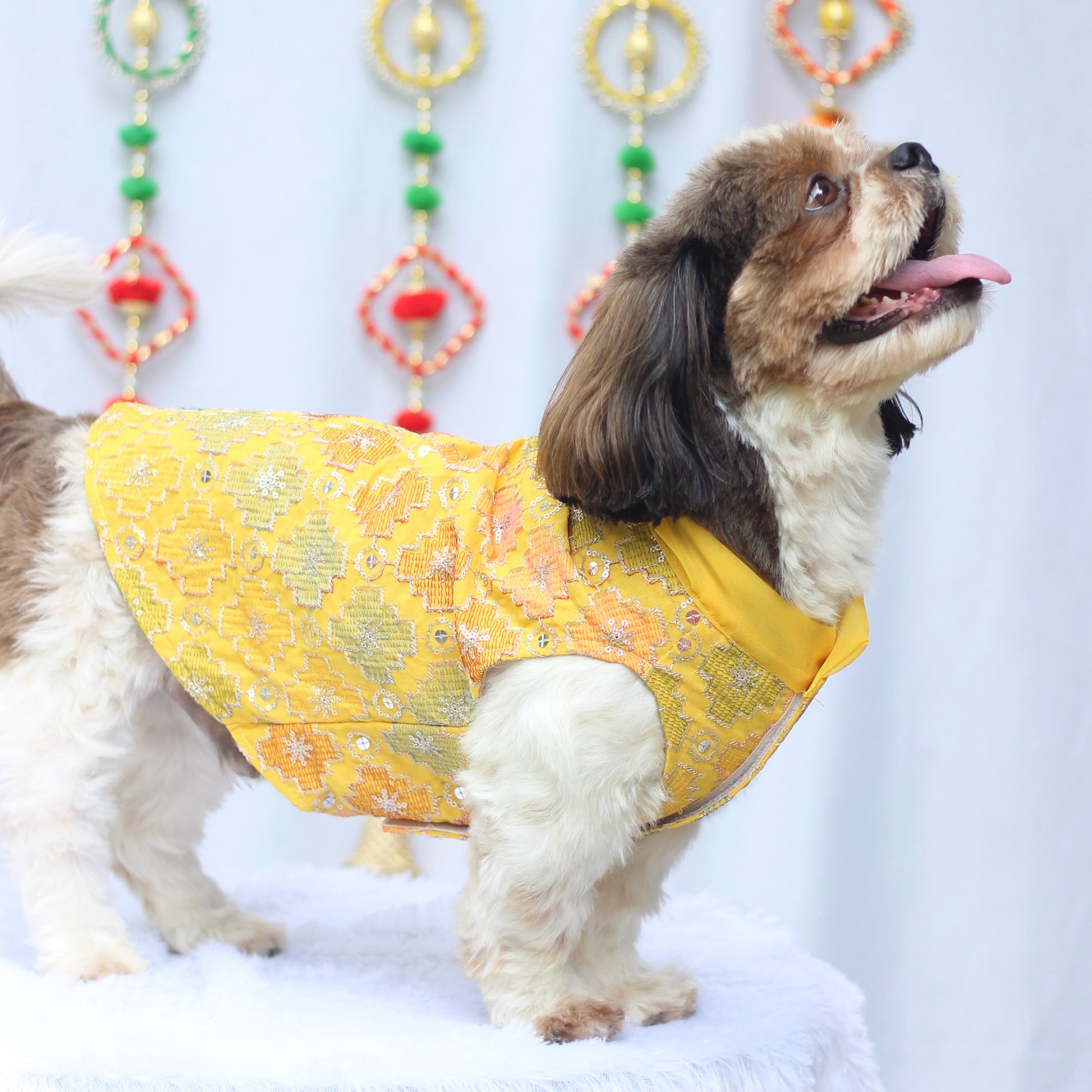Pawgy Pets Festive Shirt Patola for Dogs