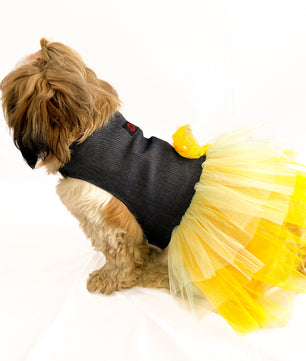 Pawgy Pets Denim Frill Dress for Dogs