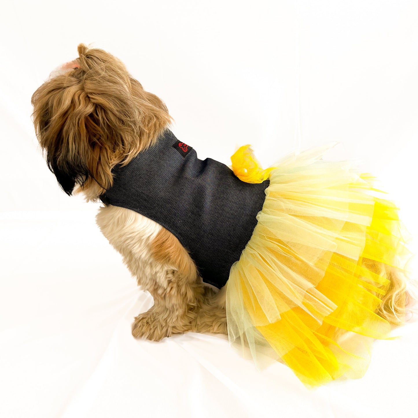 Denim Frill Dress | For Dogs | Pawgy Pets