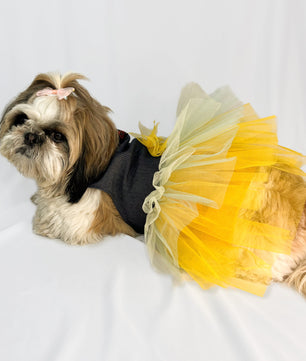 Pawgy Pets Denim Frill Dress for Dogs