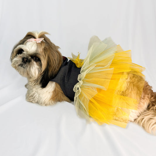 Pawgy Pets Denim Frill Dress for Dogs
