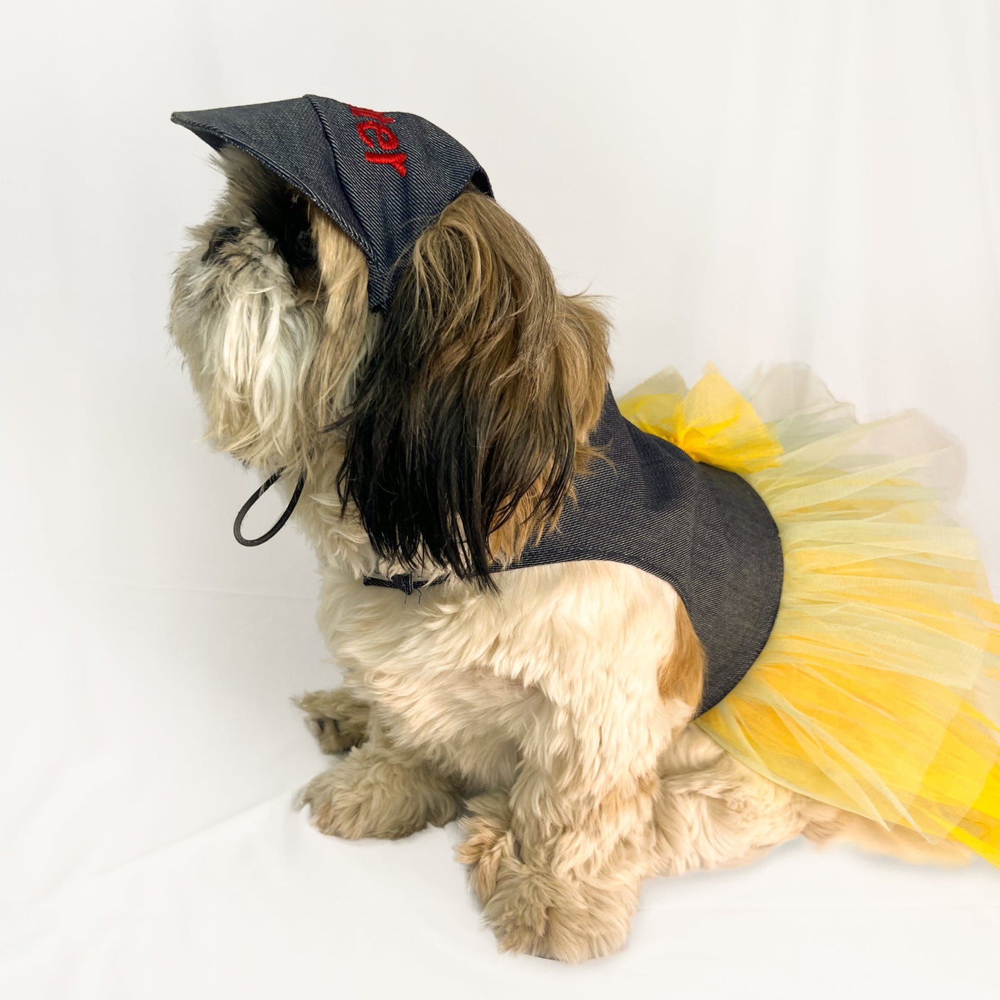 Denim Frill Dress | For Dogs | Pawgy Pets