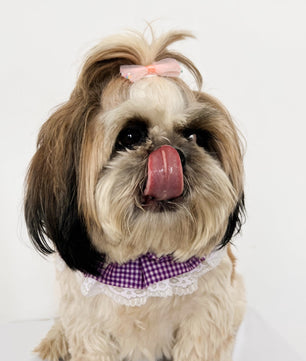 Pawgy Pets Frilly Bandana: Purple for Dogs & Cats
