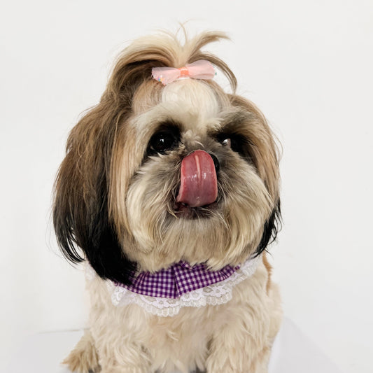 Pawgy Pets Frilly Bandana: Purple for Dogs & Cats