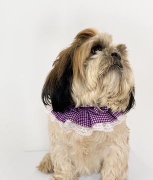 Pawgy Pets Frilly Bandana: Purple for Dogs & Cats