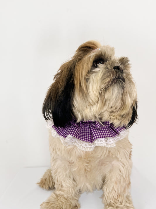 Pawgy Pets Frilly Bandana: Purple for Dogs & Cats