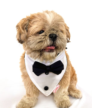 Pawgy Pets Tuxedo Bandana: Black for Dogs & Cats