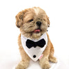 Pawgy Pets Tuxedo Bandana: Black for Dogs & Cats