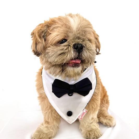 Pawgy Pets Tuxedo Bandana: Black for Dogs & Cats