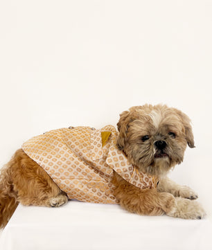 Pawgy Pets Sherwani White for Dogs