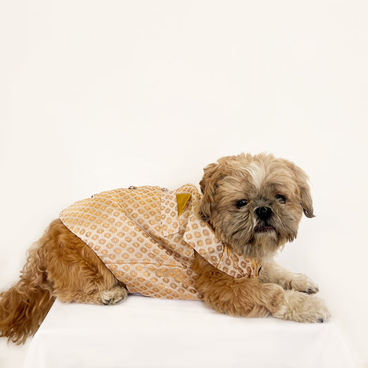 Pawgy Pets Sherwani White for Dogs