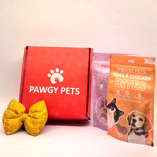 Pawgy Pets Festive Box for Dogs and Cats