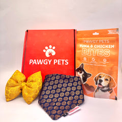 Pawgy Pets Festive Box for Dogs & Cats