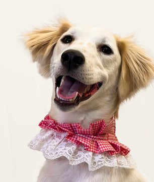 Pawgy Pets Frilly Bandana: Pink for Dogs & Cats