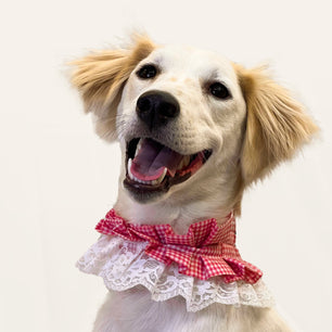 Pawgy Pets Frilly Bandana: Pink for Dogs & Cats