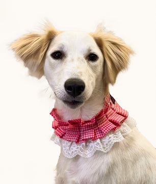 Pawgy Pets Frilly Bandana: Pink for Dogs & Cats