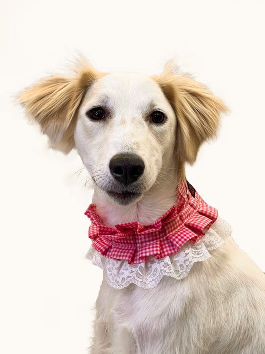 Pawgy Pets Frilly Bandana: Pink for Dogs & Cats