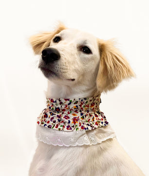 Pawgy Pets Frilly Bandana: Floral for Dogs & Cats