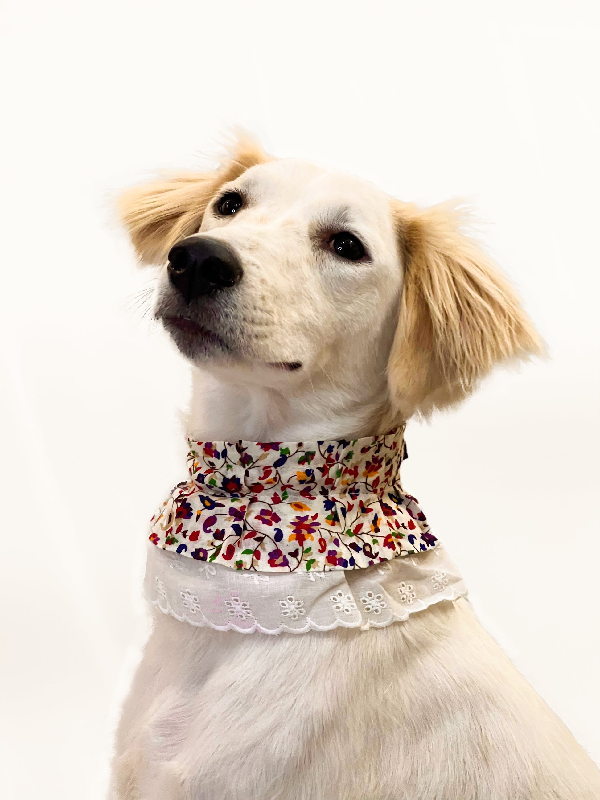 Pawgy Pets Frilly Bandana: Floral for Dogs & Cats