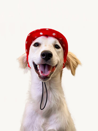 Red Polka Cap | For Dogs | Pawgy Pets