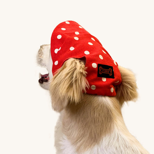 Pawgy Pets Dog Cap: Red Polka for Dog & Cats