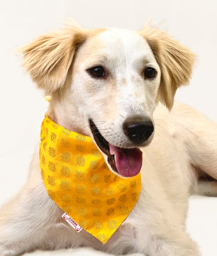 Pawgy Pets Occasion wear bandana Yellow for Dogs & Cats