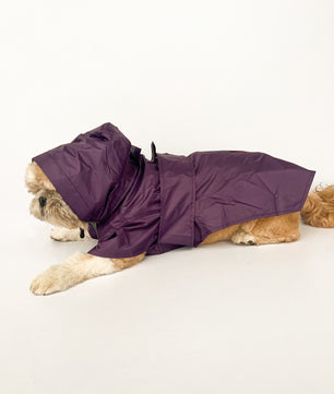 Raincoat: Purple