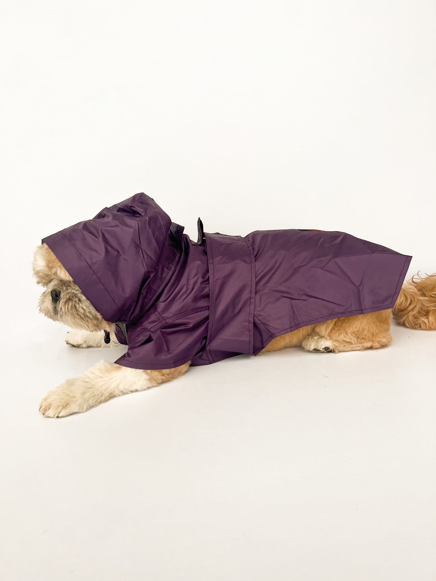 Purple Raincoat | For Dogs | Pawgy Pets